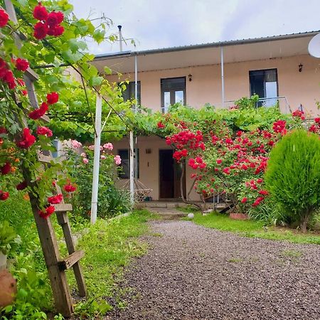 Guesthouse Mtkvari Nakalakevi Ngoại thất bức ảnh