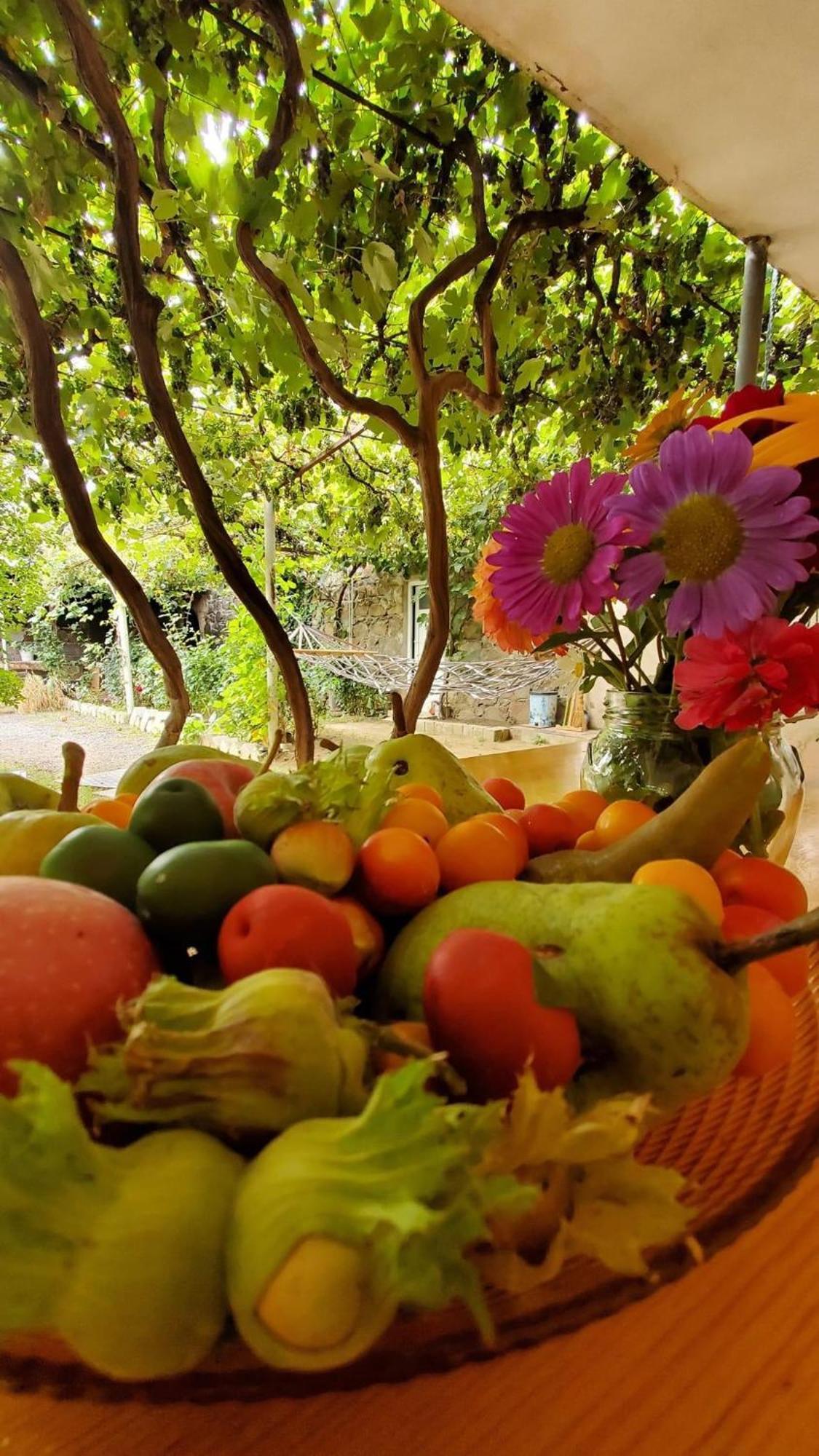 Guesthouse Mtkvari Nakalakevi Ngoại thất bức ảnh